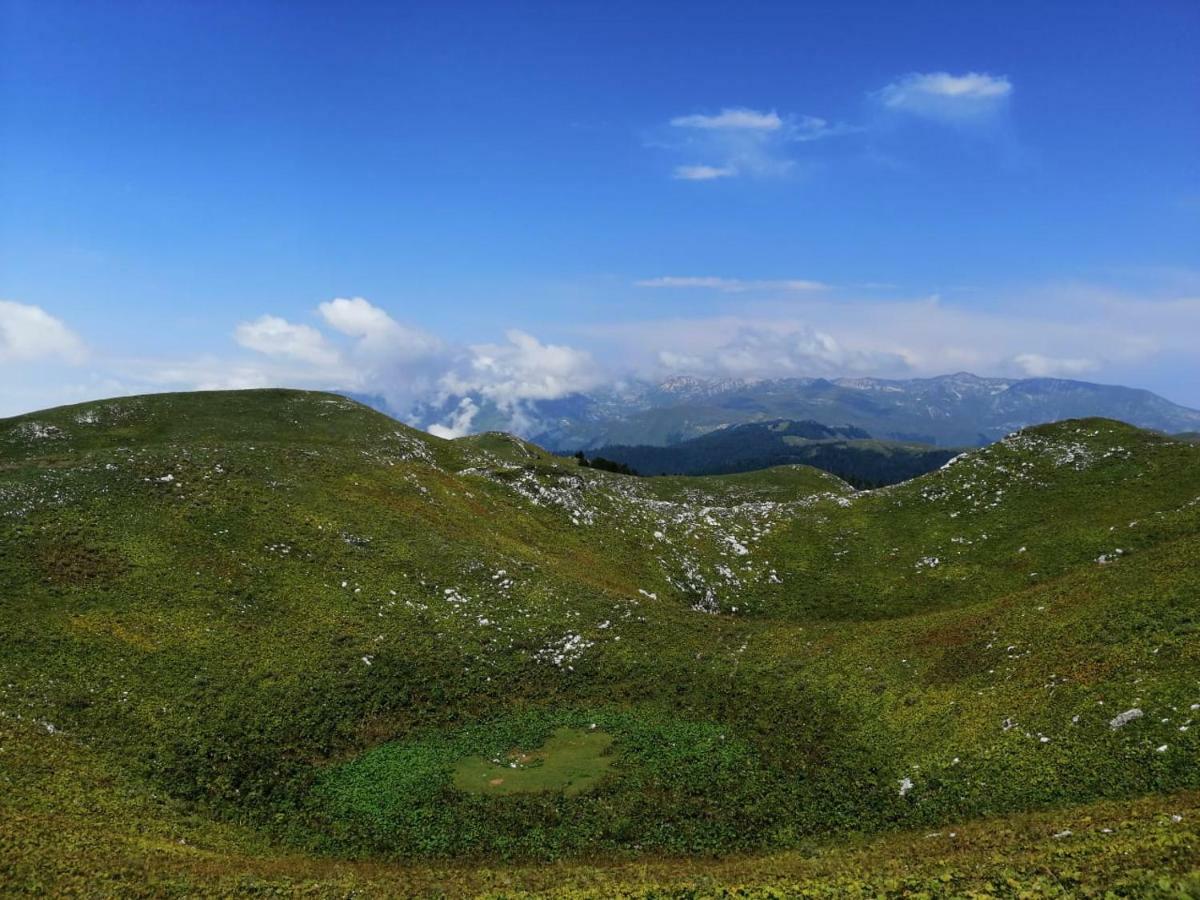 Тихая гавань алахадзы